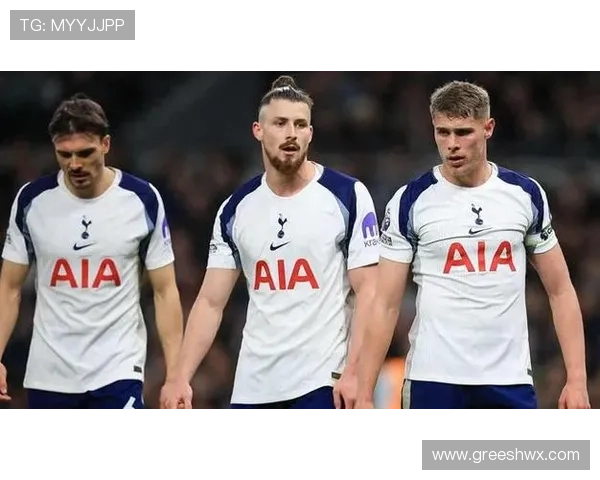 热刺若降级 球员薪资将大幅下调